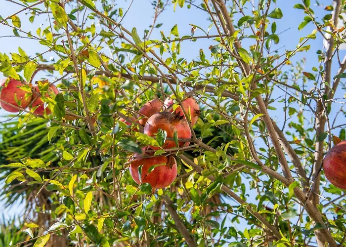 Villa Infinite Blu *